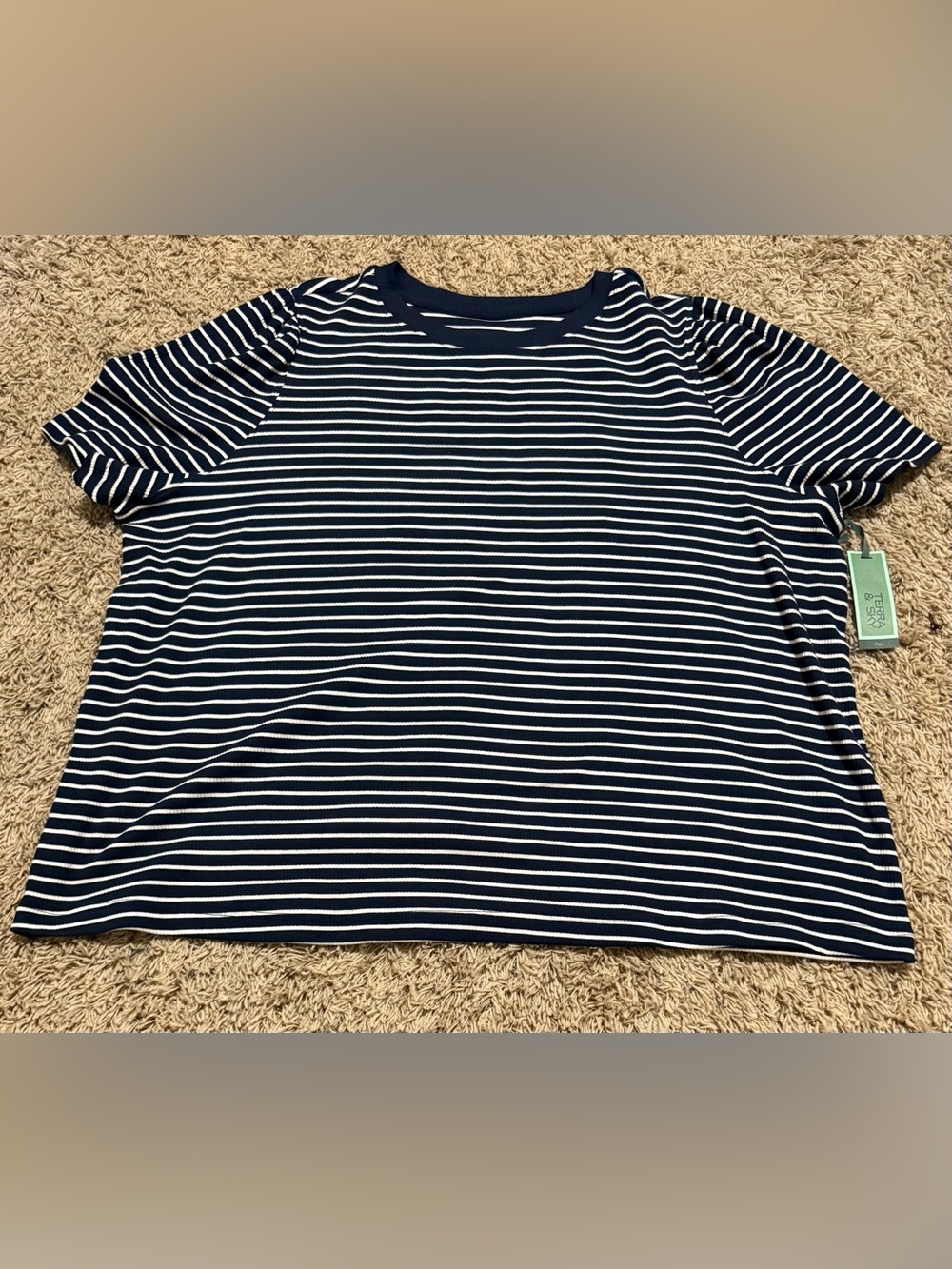 Terra & Sky Women's Plus Size Crewneck Top With Short Puff Sleeves Size: 4X